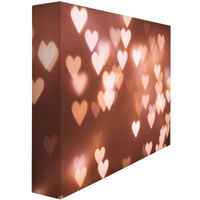High quality portable aluminum SEG pop up wall for trade show