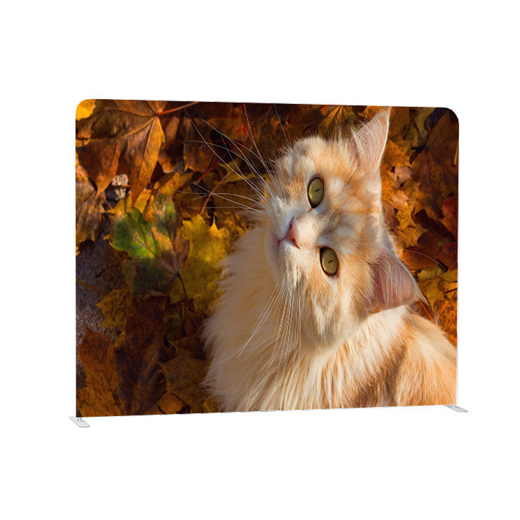 Portable custom logo tension fabric pillow case trade show wall display backdrop stand