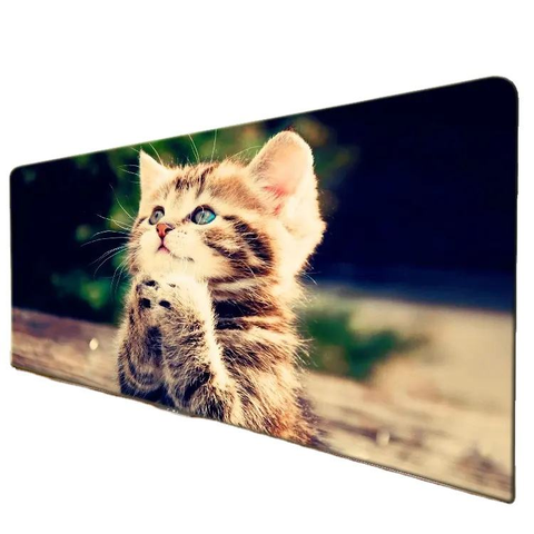 20ft Wide Straight Shaped High Quality Firm Dexterous Photography Advertising Display Backdrop Support Tension Fabric Stand