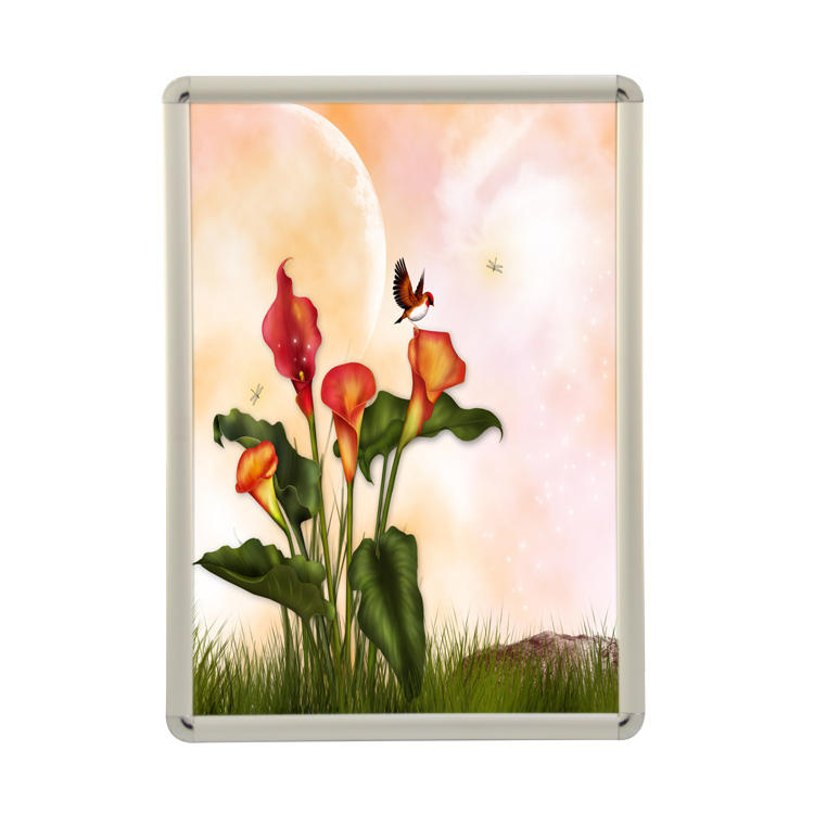 25mm a1 a2 a3 a4 customized aluminum poster hanger frames a5 b3 28'' anodised snap frame