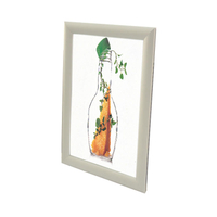 25mm aluminum profile 11x17 snap clips on photo frame
