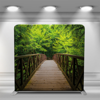 Forest wooden bridge scene